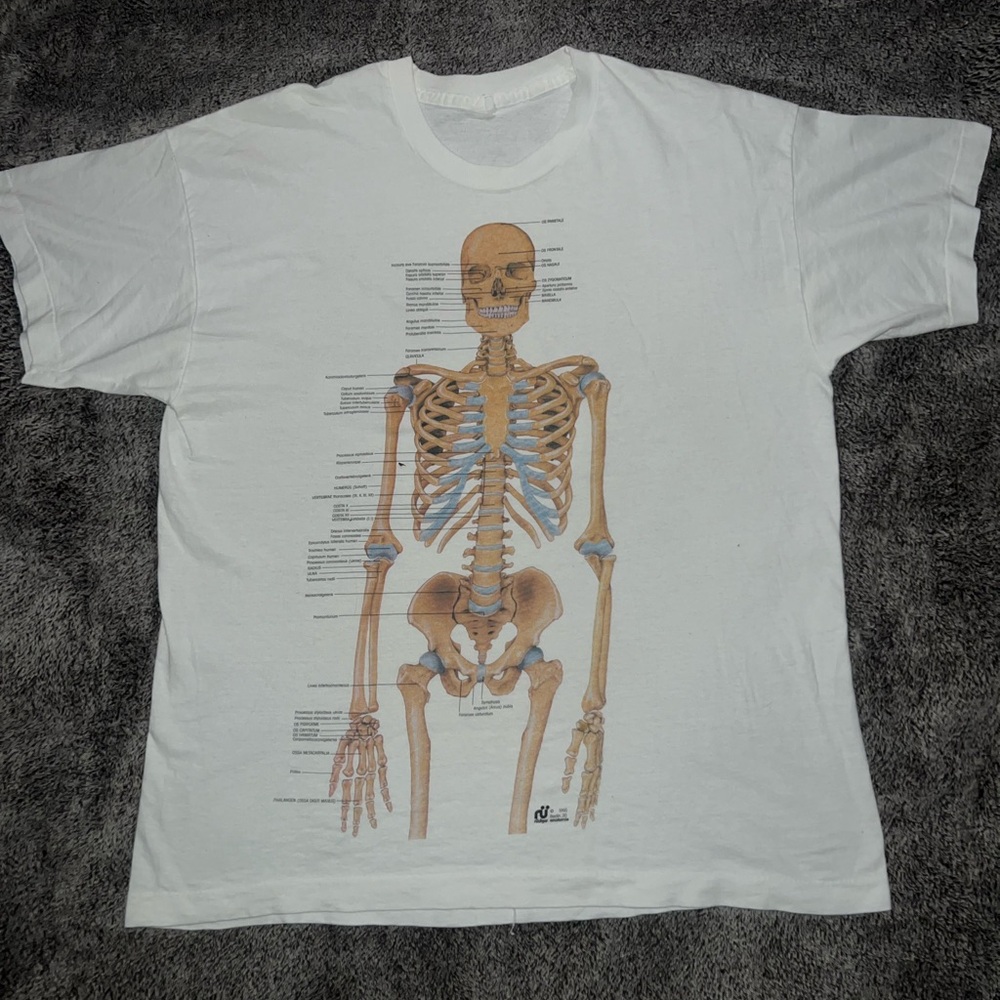1990 Skelton anatomy tee - Picture 1 of 2